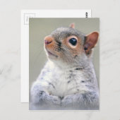 Cute Squirrel Briefkaart (Voorkant / Achterkant)