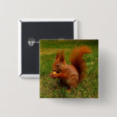 Cute Squirrel Button (Voorkant /achterkant)