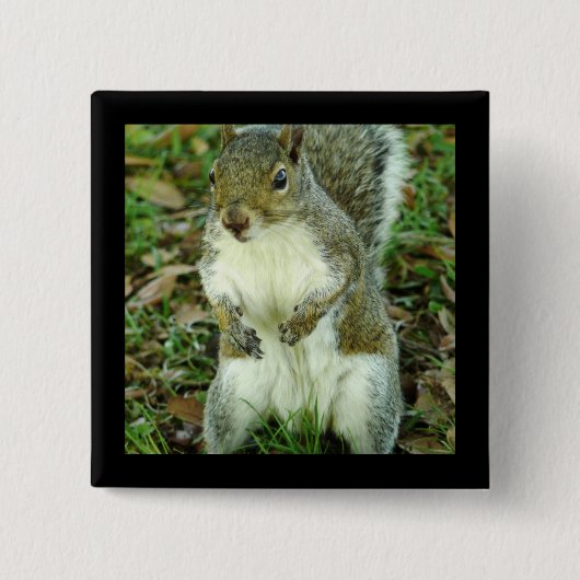 Cute Squirrel Button (Voorkant)