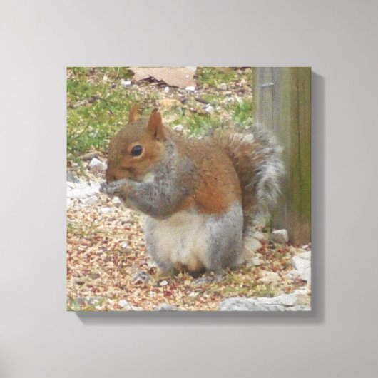 Cute Squirrel Canvas Art Afdruk (Voorkant)