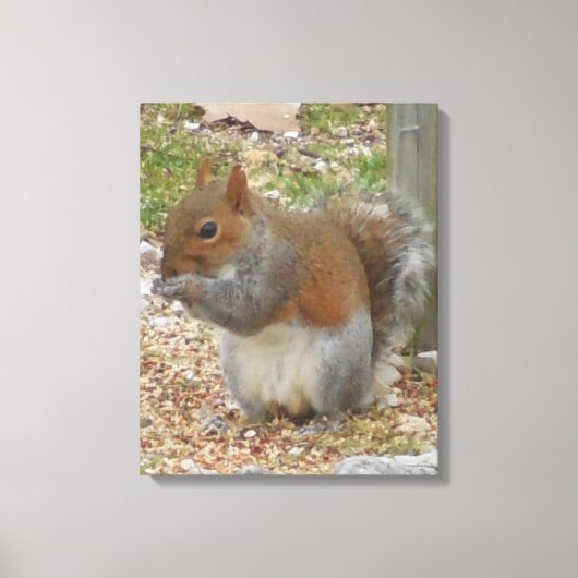 Cute Squirrel Canvas Art Afdruk (Voorkant)