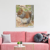Cute Squirrel Canvas Art Afdruk (Insitu (Woonkamer))
