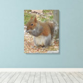 Cute Squirrel Canvas Art Afdruk (Insitu (Houten vloer))