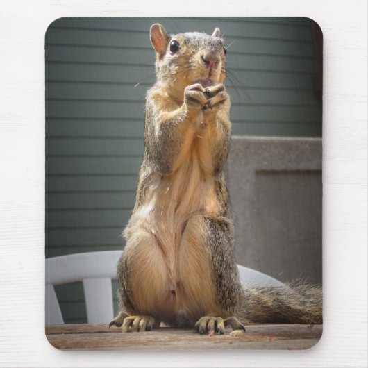Cute Squirrel Closeup with Nut 3 Muismat (Voorkant)