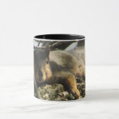 Cute Squirrel Coffee Mug avec poignée noire (Centre)