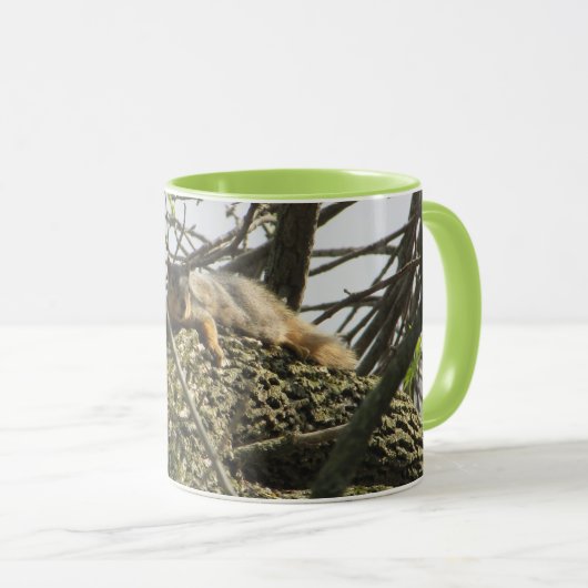Cute Squirrel Coffee Mug with Lime Green Handle (Devant droit)