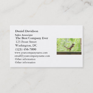 Cute Squirrel Doing Tai Chi Visitekaartje