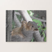 Cute Squirrel Eating Nut Legpuzzel (Horizontaal)