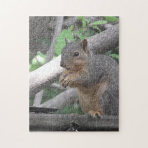 Cute Squirrel Eating Nut Legpuzzel