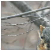 Cute squirrel en zijn noot stof (Close Up)