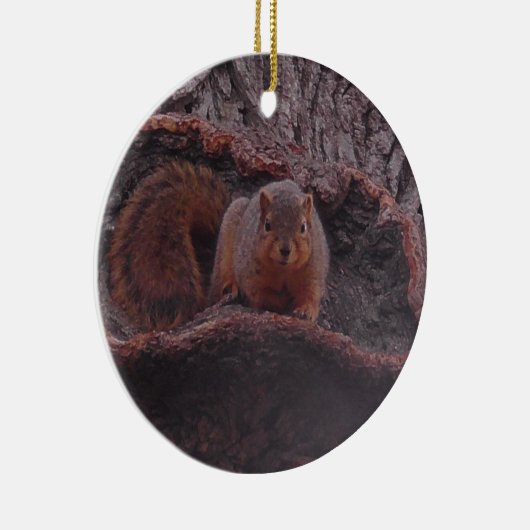 Cute Squirrel Foto gepersonaliseerd Keramisch Ornament (Rechts)