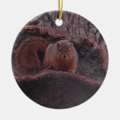 Cute Squirrel Foto gepersonaliseerd Keramisch Ornament (Voorkant)