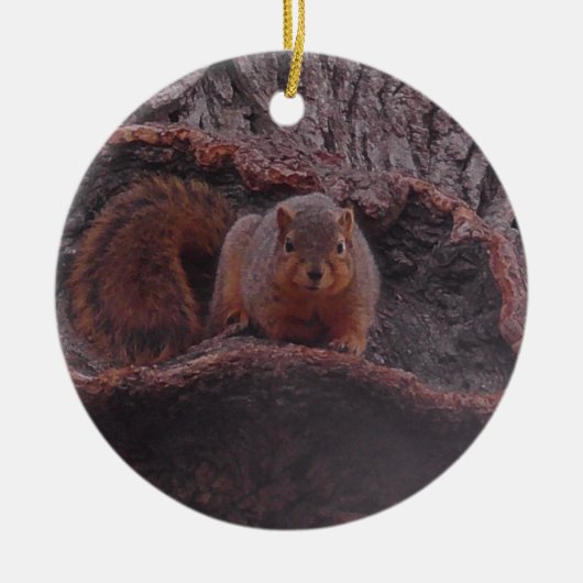 Cute Squirrel Foto gepersonaliseerd Keramisch Ornament (Voorkant)