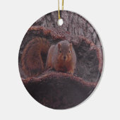 Cute Squirrel Foto gepersonaliseerd Keramisch Ornament (Links)
