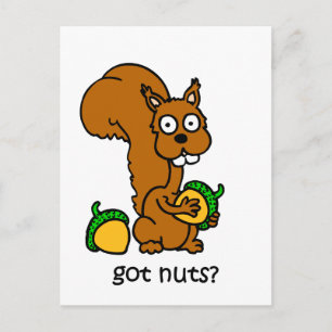 Cute squirrel heeft noten briefkaart