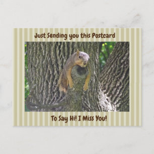 Cute Squirrel "I Miss You" Gezegde Hi Briefkaart