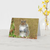 Cute Squirrel Kaart (Gele Bloem)
