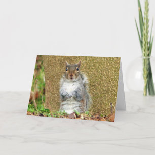 Cute Squirrel Kaart