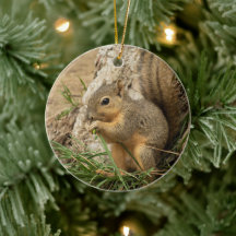 Cute Squirrel kerstboom Ornament
