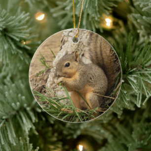 Cute Squirrel kerstboom Ornament
