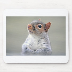 Cute Squirrel Muismat