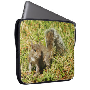 Cute Squirrel Natuur Laptophoes Laptop Sleeve