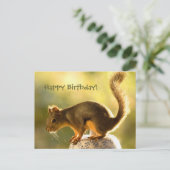 Cute Squirrel op een Cookie Jar Briefkaart (Staand voorkant)
