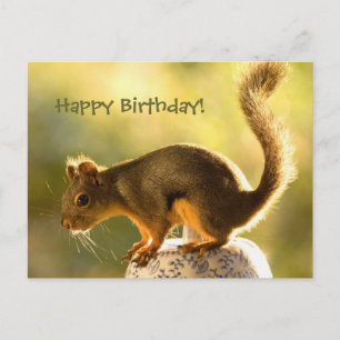 Cute Squirrel op een Cookie Jar Briefkaart