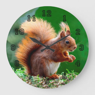 Cute Squirrel op Grass Clock Grote Klok