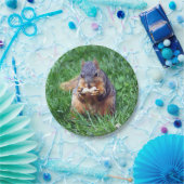 Cute Squirrel Peanut Foto Papieren Bordje (Feest)