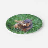 Cute Squirrel Peanut Foto Papieren Bordje (Gekanteld)