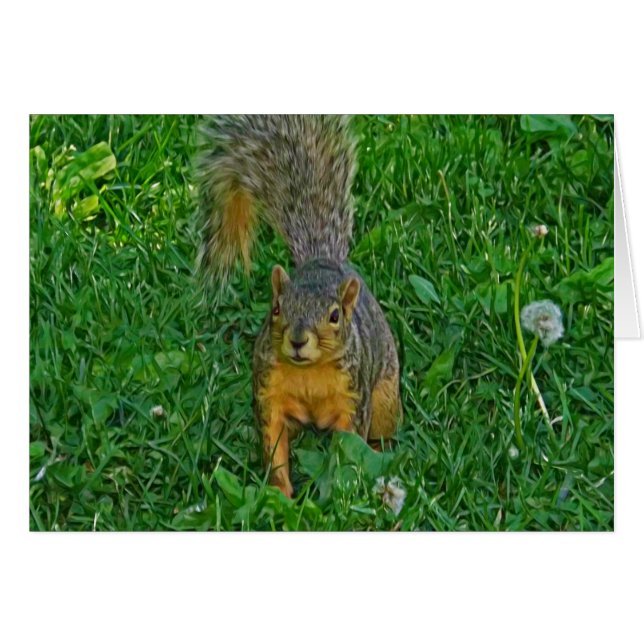Cute Squirrel Photo Blank Card (Voorkant Horizontaal)