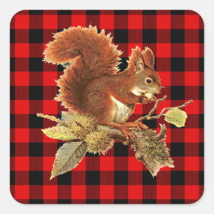 Cute Squirrel Red Black Buffalo Check Pset Vierkante Sticker