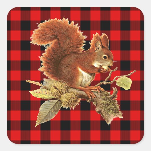Cute Squirrel Red Black Buffalo Check Pset Vierkante Sticker (Voorkant)