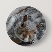 Cute Squirrel Ronde Button 7,6 Cm (Voorkant)
