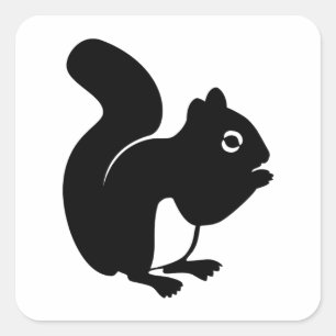 Cute Squirrel Vierkante Sticker