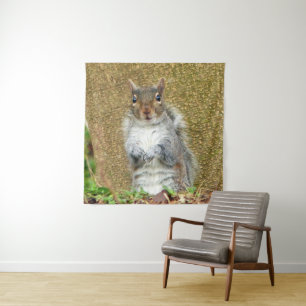 Cute Squirrel Wandkleed