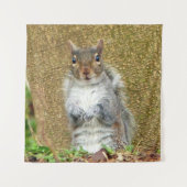 Cute Squirrel Wandkleed (Voorkant)