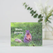Cute Squirrel Wildlife Foto Verjaardag Briefkaart (Staand voorkant)