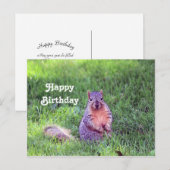 Cute Squirrel Wildlife Foto Verjaardag Briefkaart (Voorkant / Achterkant)