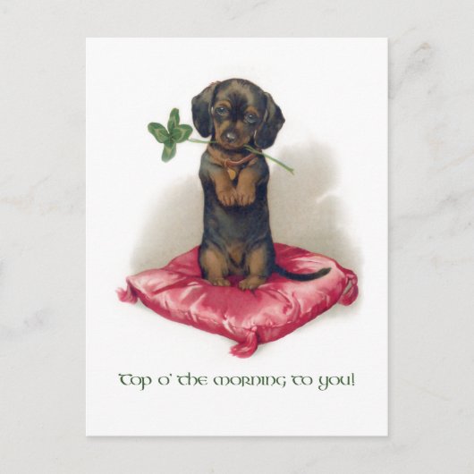 Cute  St. Patrick's Day Dachshund w/Clover Briefkaart (Voorkant)