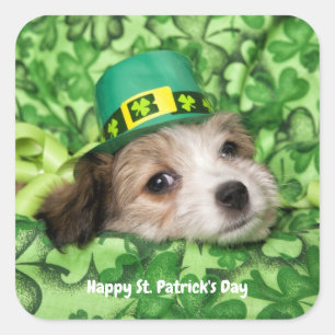 Cute St. Patrick's Day Puppy Vierkante Sticker