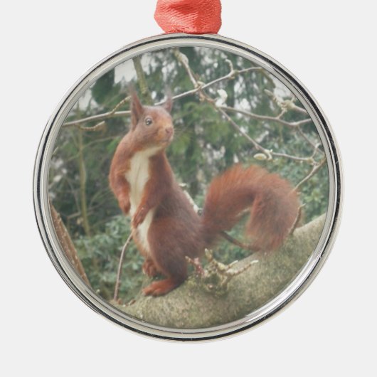Cute Staande Eekhoorn Metaal Ornament (Voorkant)