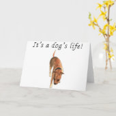 Cute Staffordshire Bull Terrier Kaart (Gele Bloem)