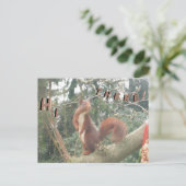 Cute Standing Squirrel HALLO Briefkaart (Staand voorkant)