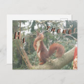 Cute Standing Squirrel HALLO Briefkaart (Voorkant / Achterkant)