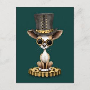 Cute Steampunk Chihuahua Puppy Dog, blauwgroen Briefkaart