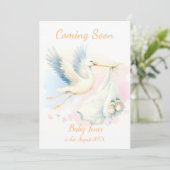 Cute Stork à venir faire-part Invitation (Debout devant)