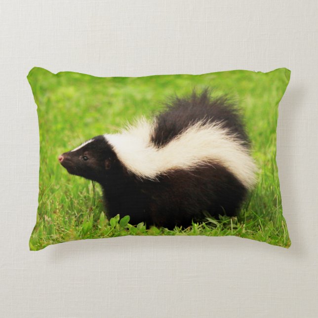 Cute Striped Skunk Accent Kussen (Voorkant)