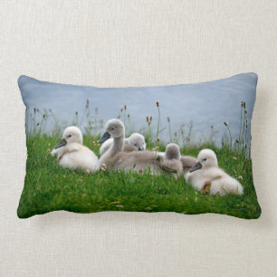 Cute Swan Cygnets - Pillow Kussen